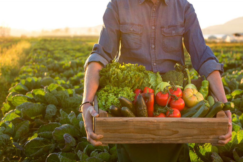 freshfood01-1536x1024